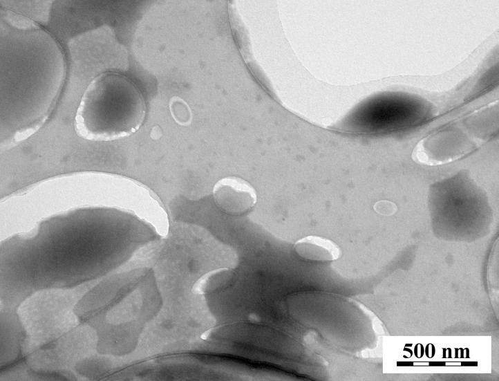 Figure 8. TEM measurement of PSCI 62 -PEO 259 PIC particle aggregates in 0.05 M Sodium tetraborate buffer for apparent degree of neutralization DN = 90 %. Hydrodynamic radius distributions (Fig.