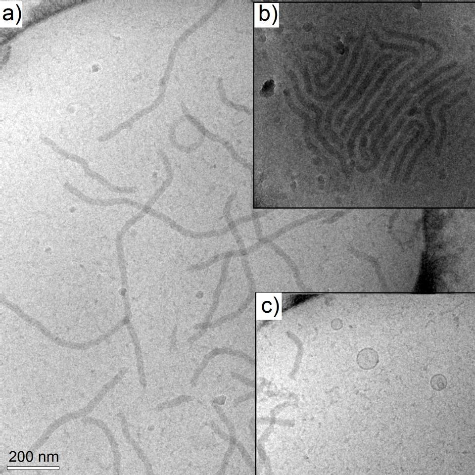 Figure 9. cryo-tem measurement of PSCI 62 -PEO 259 PIC particle aggregates in 0.05 M Sodium tetraborate buffer for apparent degree of neutralization DN = 50 %.