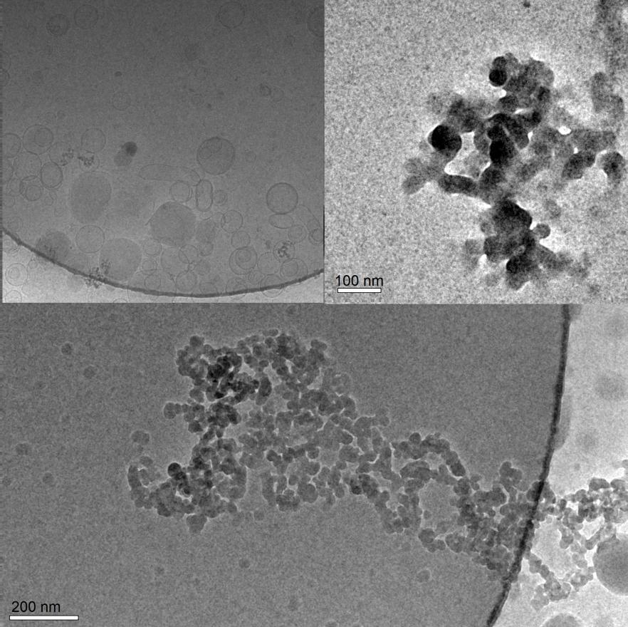 Cryo-TEM showed that PSCI 70 -PEO 1289 PIC micelles formed globular micelle aggregates (Fig. 17), instead of wormlike micelles of PSCI 62 -PEO 259.
