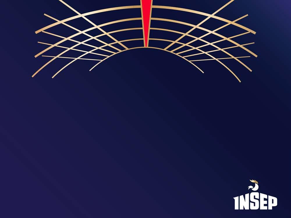 INSEP A DUÁLNÍ PROJEKT Akademický úspěch a