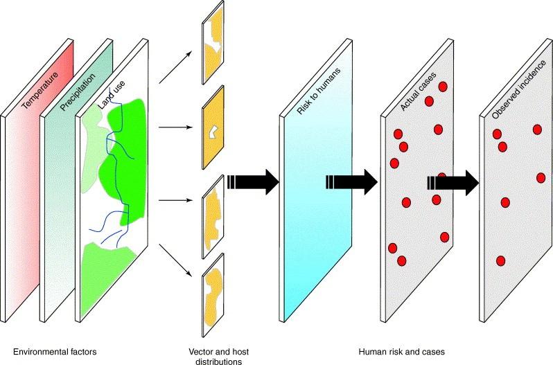 Figure 1. Conceptual model of the relationship between environmental factors that influence disease and observed incidence of that disease in humans. Underlying environmental factors (e.g. temperature, precipitation, land use and soil type) can influence the d.