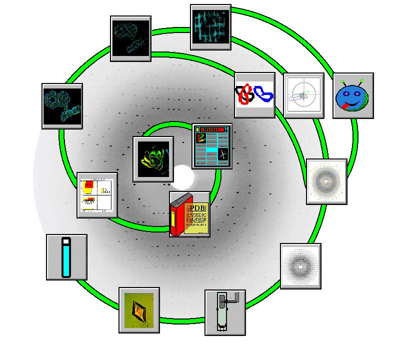 Mapa elektronové hustoty Řešení proteinové struktury Modelování Optimalizace Isomorfní výměna Molekulární výměna