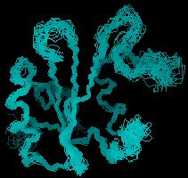 NMR vs.