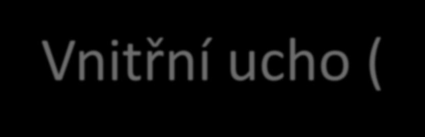 Vnitřní ucho (Auris interna) organum vestibulocochleare kostěný labyrint (labyrinhtus osseus) předsíň (vestibulum) polokruhové kanálky (canales semicirculares) hlemýžď (cochlea) vnitřní