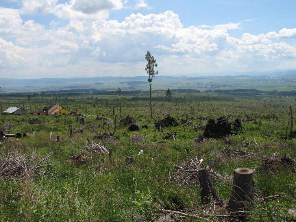 Vysoké