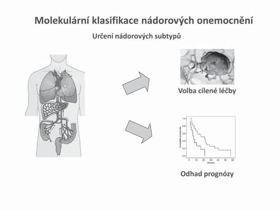 Přínos molekulární genetiky pro diagnostiku a terapii malignit GIT v posledních 10 letech 14