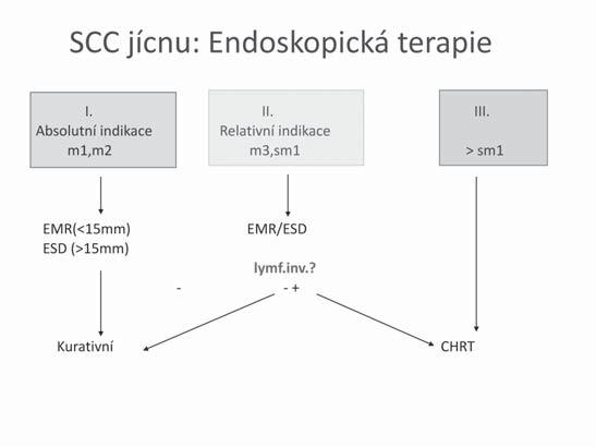 Endoskopické metody zásadně mění léčbu