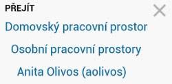ZOBRAZENÍ STROMU PRACOVNÍCH PROSTORŮ Zobrazí se profil daného uživatele.