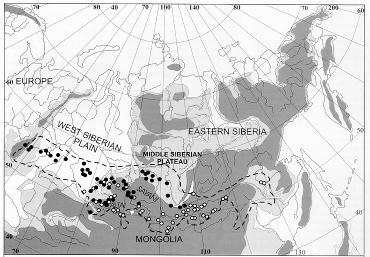 Preboreál, 10 000-9 000 BP, 11 500-10 500 BP cal - nejbližší, jihouralskou a jihosibiřskou analogií středoevropských raně holocénních borobřezových lesů jsou nejspíš hemiboreální lesy třídy