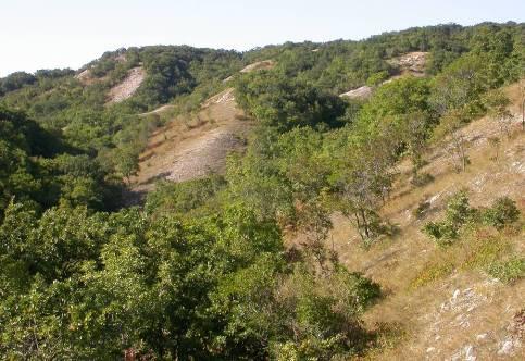 Princip funguje v oblastech s kontinentálním klimatem na