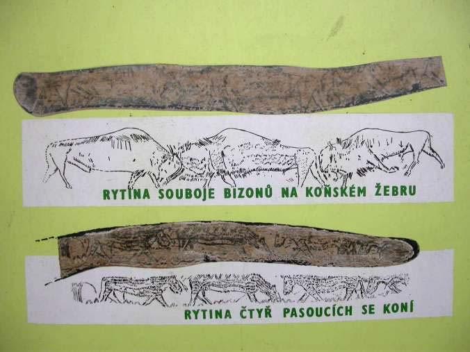 koní a zubrů), 18-10 tisíc let
