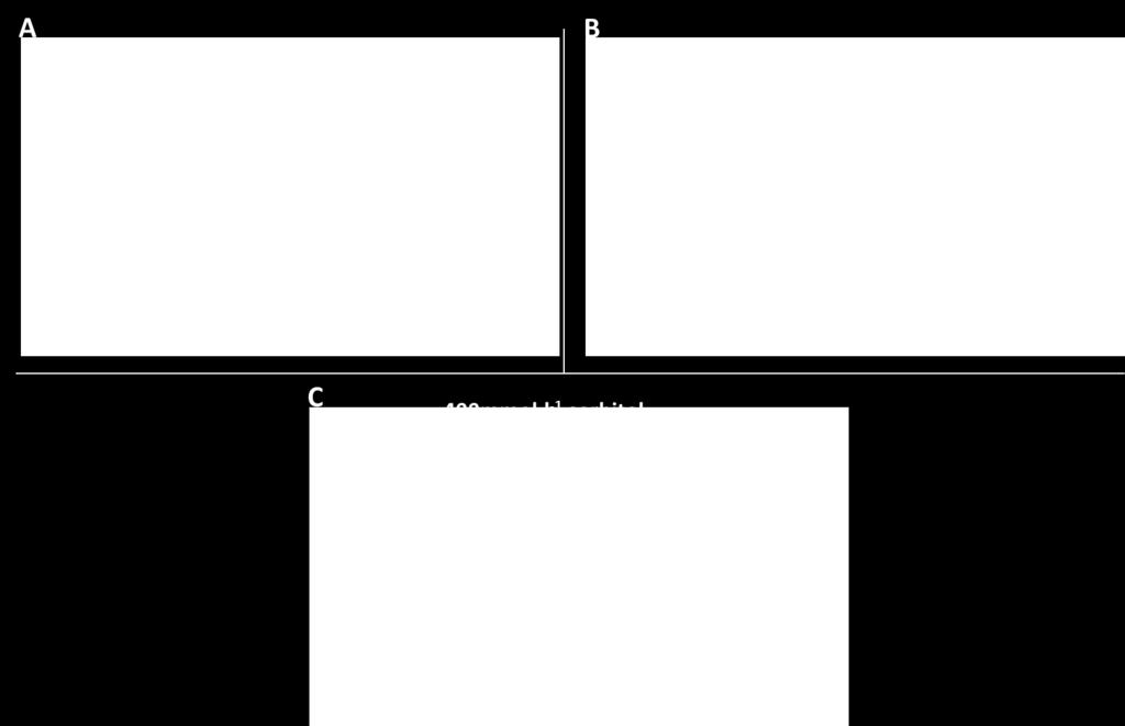 l -1 sorbitol 65,82 31,25 28,75 Obr. 4 Porovnání klíčivosti semen vybraných linií A. thaliana Col-0, pmat-gfp a PRF2- GFP.