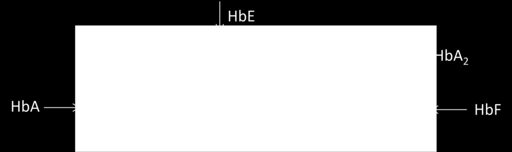 Potvrzení HbE a odlišení tak od frakce HbA 2 bylo pomocí molekulárně genetického vyšetření - sekvenační analýzou.