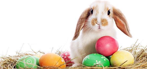 3. týden Komunikační kruh Tento týden slavíme Velikonoce. Povíme si, co to jsou Velikonoce, proč je slavíme a jak.