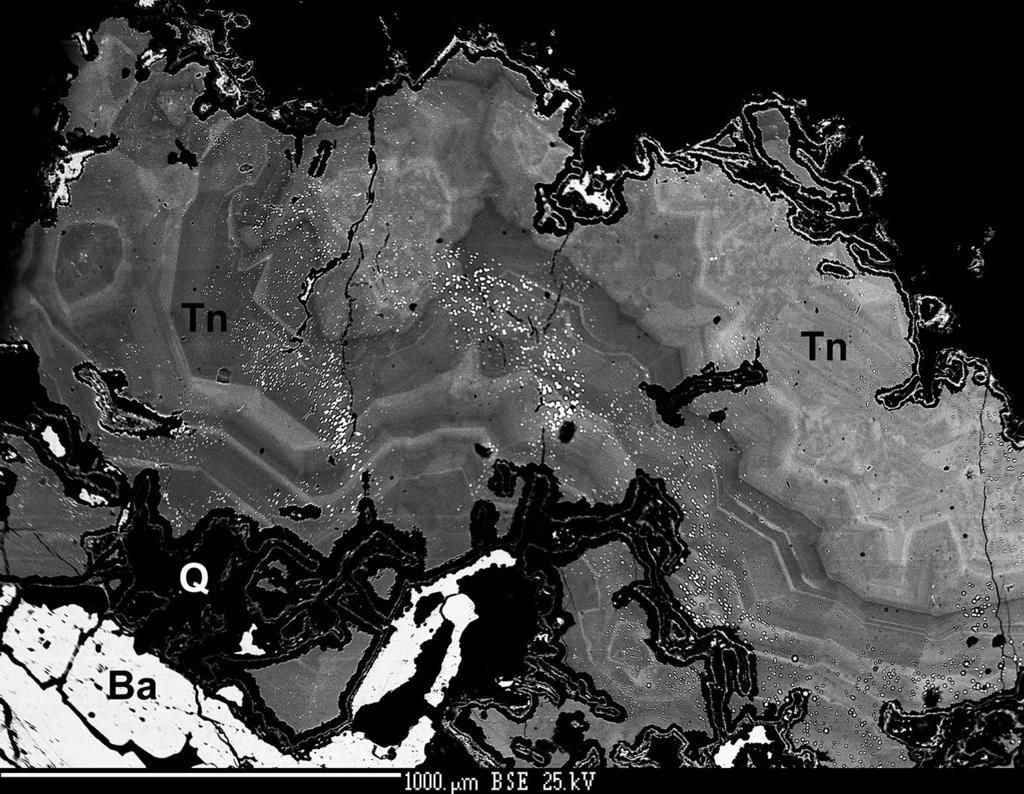 Bull mineral-petrolog Odd Nár Muz (Praha) 24, 1, 2016 ISSN 1211-0329 (print); 1804-6495 (online) 135 Vzorek D38, Příbram (Národní muzeum P1N43770); pěti body byl analyzován podle chemické analýzy