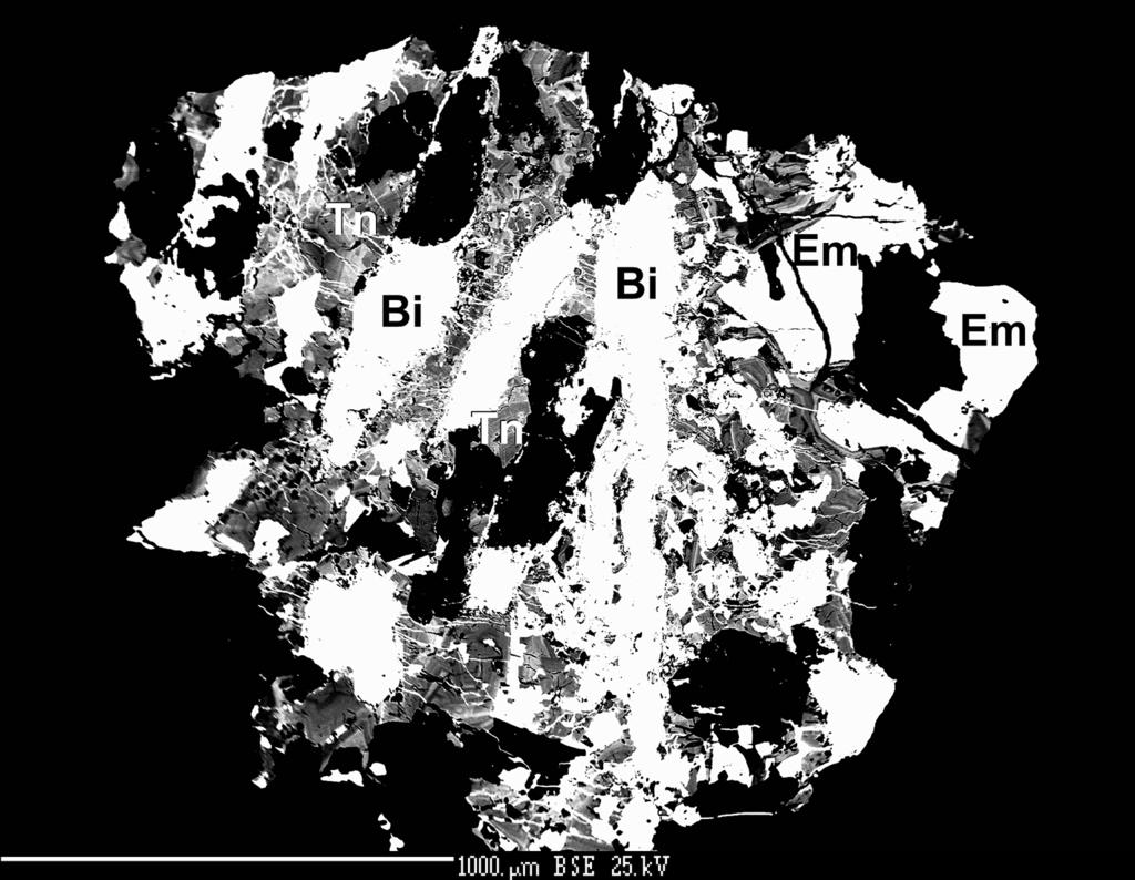 vzorek je výrazně bohatý stříbrem s průměrným obsahem Ag 534 (449-621) (2626-3470 hm %), takže vzorek D40 Obr 3 Drúza krystalů freibergitu ze Staré Vožice (Národní muzeum ze Staré Vožice je, v