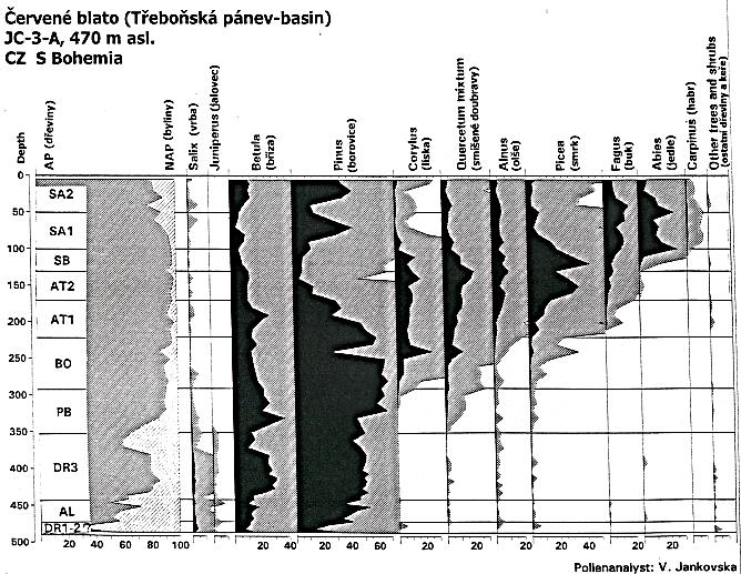 Pleistocene Late glacial Holocene trees tolerant