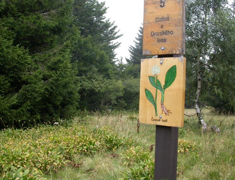 Preboreál Preboreál (PB) první postglaciální období - 8300 do 6800 roků BC - nastalo oteplení a mírné zvlhčení s průměrnými teplotami až o 5 C nižšími než dnes. Klima bylo ještě kontinentální.