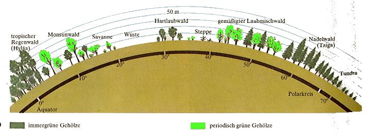 Společenstva zonální závislé hlavně na klimatu (teplota a vlhkost) podle