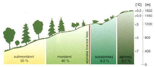 V Evropě rozlišujeme tyto výškové vegetační stupně: Nížinný stupeň (planární) (do 200 m n. m.) - původně se v něm nacházely listnaté, převážně dubové lesy.