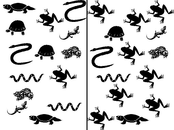Hlavní charakteristiky biocenóz Indexy diverzity Míra druhové
