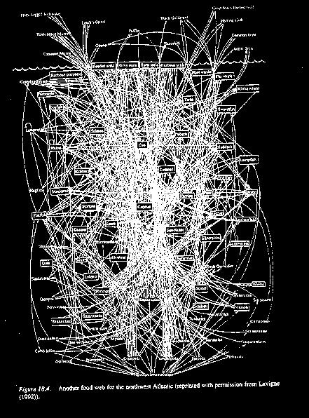 Biodiverzita functional
