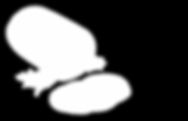 343 - Velké Losiny 598 -