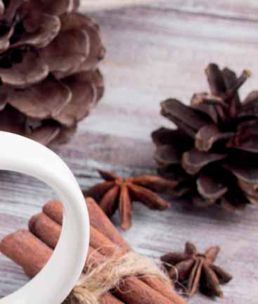 / vrstva 251 Earl Grey Tea, 100
