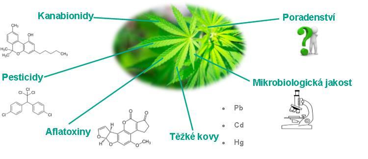 10 STANOVENÍ KANABINOIDŮ A DALŠÍCH VÝZNAMNÝCH PARAMETRŮ KVALITY KONOPÍ A JEHO PRODUKTŮ Naše laboratoř stanovuje nejčastěji se vyskytující kanabinoidy v široké škále matric.