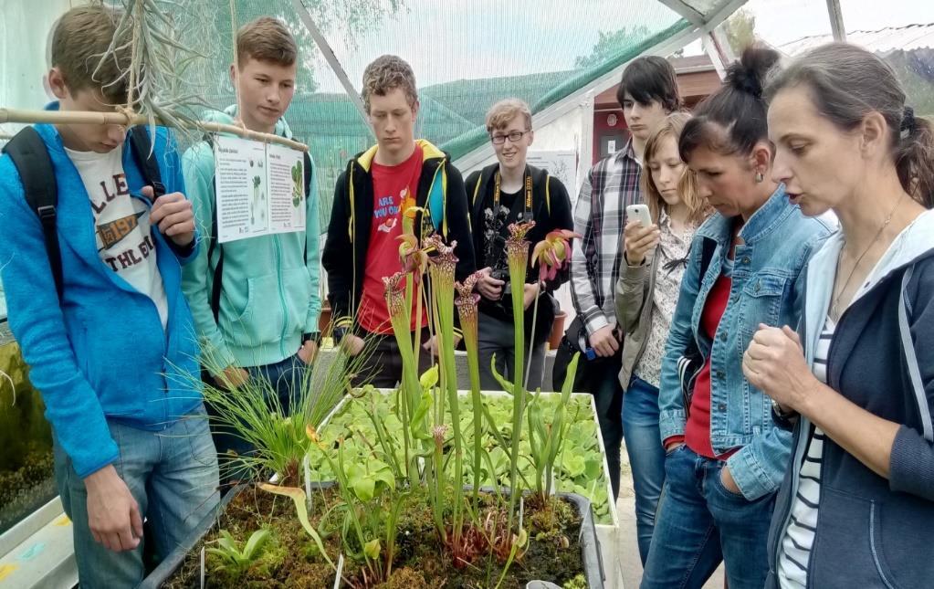 Studenti kvinty u masožravých rostlin v Třeboni Seminární práce V květnu se konaly obhajoby seminárních prací studentů třetího ročníku a septimy. Práce z oboru biologie si vybralo 11 studentů.