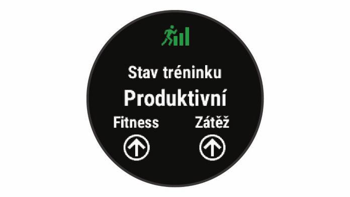 Zařízení používá k určení vaší funkční limitní hodnoty výkonu (FTP) informace profilu uživatele z výchozího nastavení a odhad hodnoty VO2 Max.