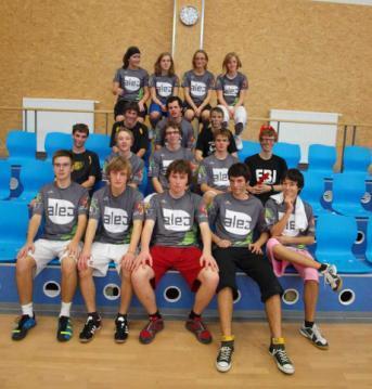 Všechny byly v roce 2011 dokončeny a navíc byl realizován také jeden projekt schválený již v roce 2010. Díky minigrantu č.