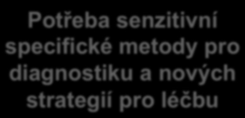 křehkostí je zásadní pro