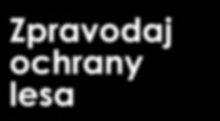 současnost kůrovcových