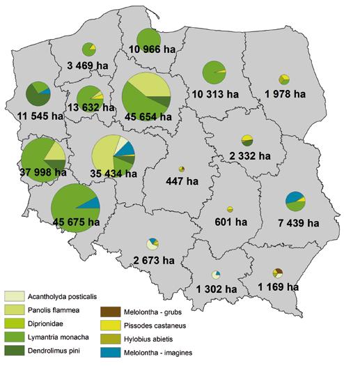 Zpravodaj ochrany lesa svazek 22/2019 Główne problemy ochrony lasu w Polsce w roku 2018 i prognoza na rok 2019 Wojciech Grodzki, Tomasz Jabłoński a kol. Wstęp Lasy w Polsce pokrywają 29,2 proc.