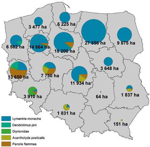 svazek 22/2019 Zpravodaj ochrany lesa susza (43,5 tys. ha) i silne wiatry (huragany), które uszkodziły w różnym stopniu drzewostany na powierzchni 29,4 tys. ha. Najmocniej obciążone szkodami powodowanymi przez czynniki abiotyczne były rdlp we Wrocławiu (29,5 tys.