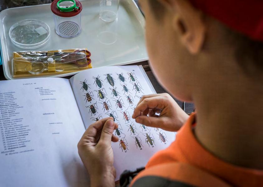 Další aktivity 33 další aktivity Montessori klubík Montessori klubík je aktivita pro rodiče s dětmi od 2 do 6 let.