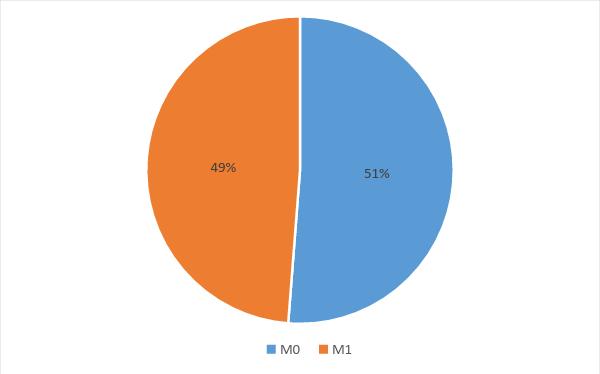 4. Výsledky V následujícím textu, tabulkách a grafech jsou znázorněny zpracované výsledky 382 pacientů, kteří se léčili v KKN v Chebu pro karcinom plic. 4.