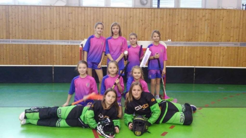 Jak dopadl školní rok 2018/2019 z florbalového pohledu? Žáci cerekvické základní školy se plni odhodlání a s chutí pustili do florbalových turnajů.