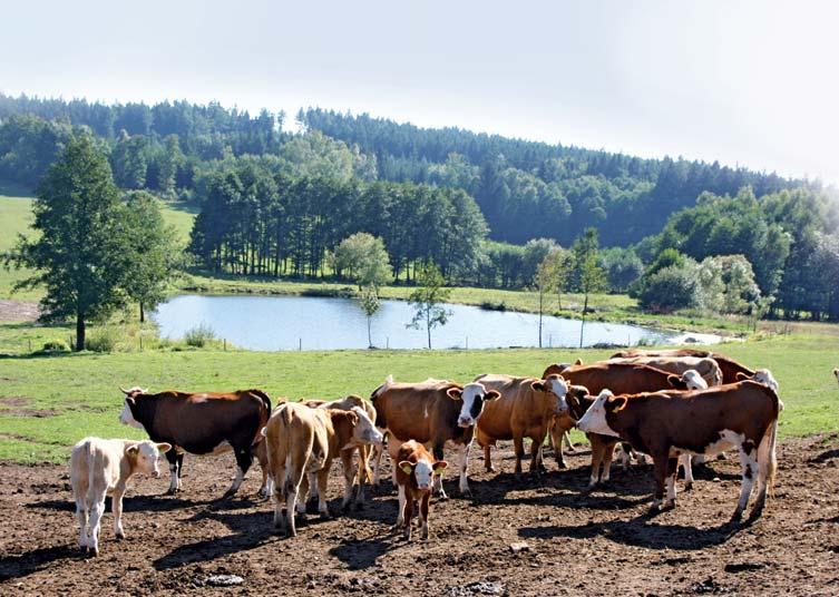 ZEMĚDĚLSTVÍ leden 2019 21 www.hanackenoviny.