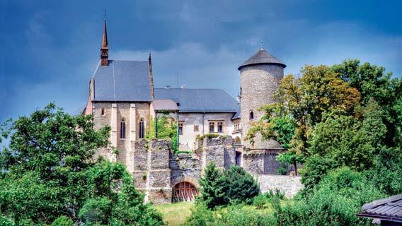 Proto jsem se rozhodla, že práci, která mě moc bavila, ukončím a přesunu se domů, do rodné Olomouce. Pracuji převážně z domova, jsem šťastná, že jsem s rodinou, starám se o pejsky.