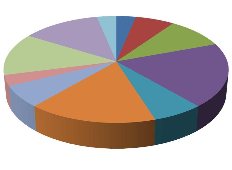 STUDIUM Umístění absolventů 2013/2014 třída 4.