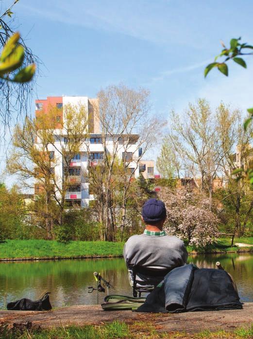 aktivní relaxace v přírodě. V dosahu je i lesopark Letňany se stezkami pro pěší, cyklisty i bruslaře a v zimním období i s běžeckými tratěmi.