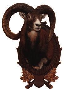 Muflon M.