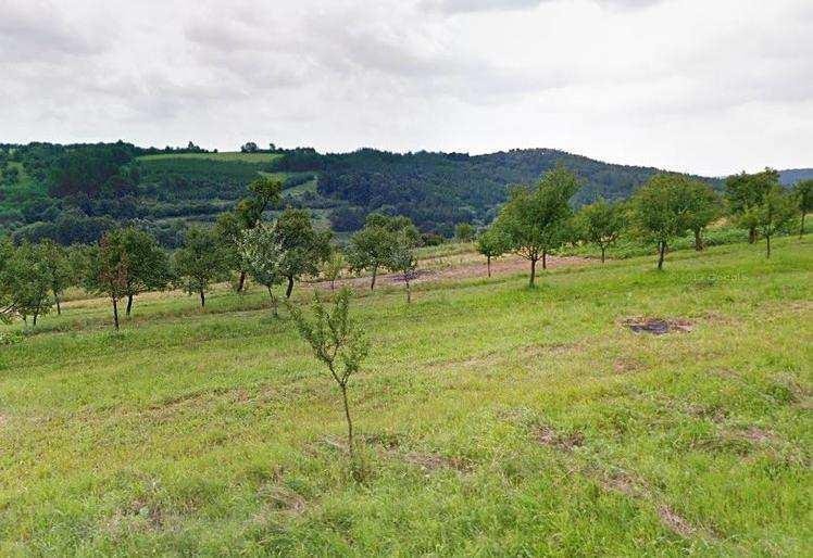 9) Zemědělský pozemek, Drnovice, okres Zlín Zemědělský pozemek v k.ú.