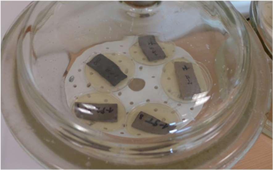 Návrh metodiky testu Zkušební tělesa: 2-3 paralelní stanovení, kontroly živná půda, filtrační papír, filtrační papír s biocidní látkou, zkušební tělesa uložena na povrch Sabouraudova agaru v Petriho