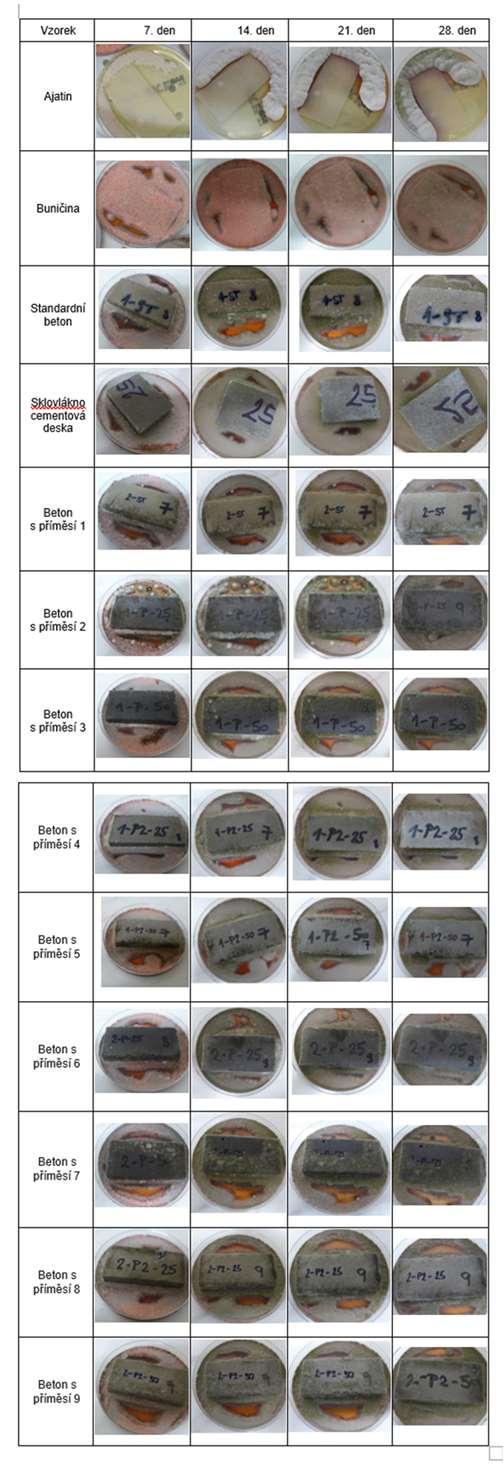 Výsledky a diskuse Fotodokumentace průběhu testování Vzorek