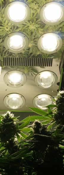 Naším cílem je dodávat tu nejkvalitnější LED pěstební technologii, jak pro vnitřní pěstitele, tak pro pěstitele ve skleníku.