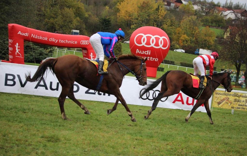 nabídky Dráha i její bezprostřední okolí (paddock, tribuny, vnitřní komunikace i jiné