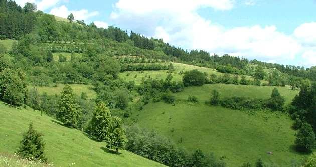 5. Krajinotvorný, rekreační a estetický zejména v